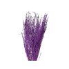 Dried Grass Lepidium - Cress 100g - Bleached Purple