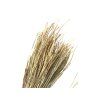 Dried arranging rice 100g - natural
