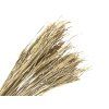Dried arranging rice 100g - natural