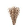 Dried Flax Bunch - Approx. 100g, Vintage Beige