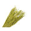 Dried Flax - bouquet approx. 100g - vintage olive