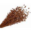 dried brown flax