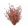 dried linum flax old pink1