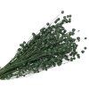 dried flax linen dark green