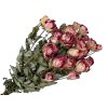 susene ruze dried roses mini