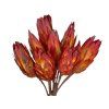 867 1 dried flowers protea red