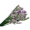 statice limonium tatarica dried violet pink