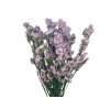 statice limonium tatarica dried purple1