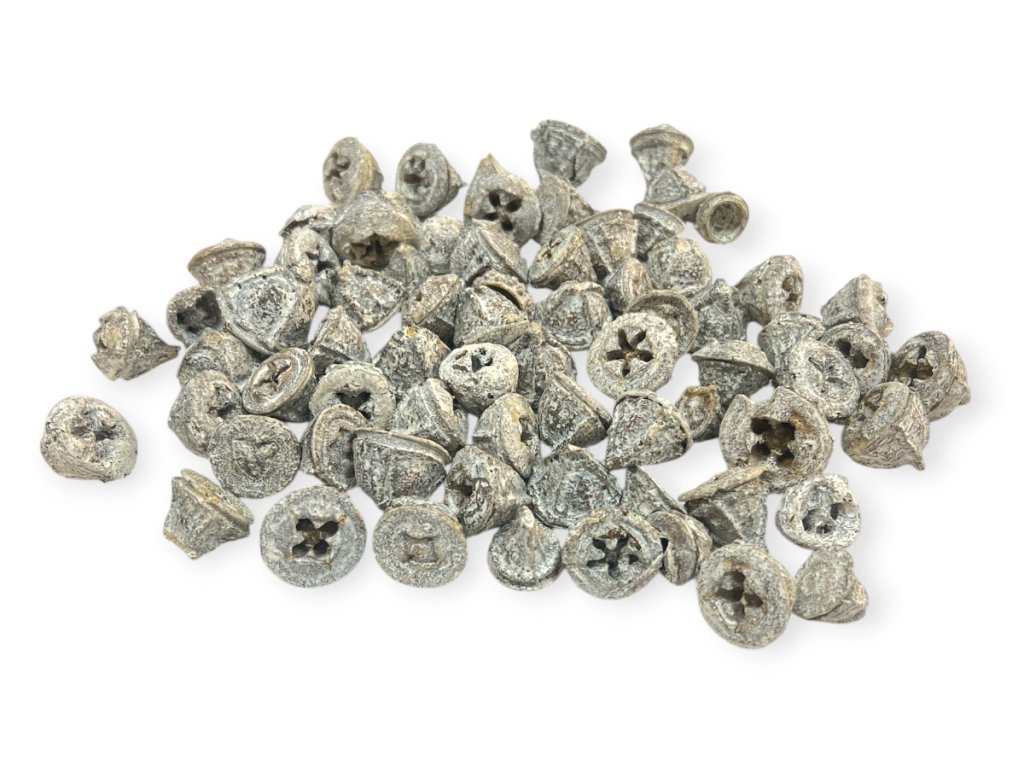 Sušené plody Eukalyptus Globulus 160g vintage biele