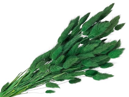 lagurus dark green zeleny