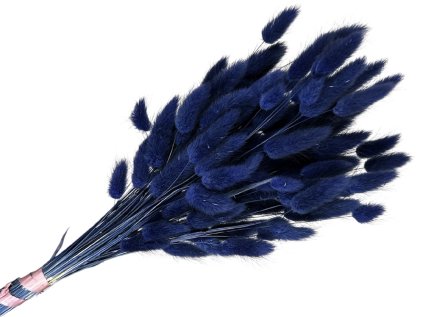 lagurus navy blue tmavomodry