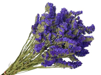 statice limonium dried susene kvety limonka dark purple tmavofialove