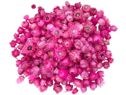 susene slamienky hlavicky helichrysum vestitum straw flowers heads 100g ružové pink