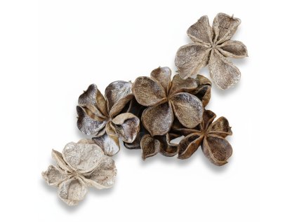 3912b9f2 5615 489c 9203 5d55c0886b8b