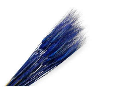 Photoroom 20251121 182731