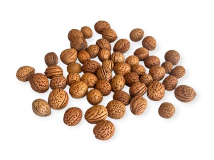 Aranžérske kôstky divej broskyne 150 g - prírodné