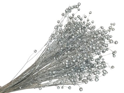 linum suseny lan strieborny silver