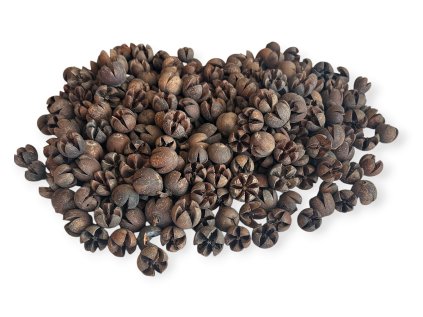 Sušené plody Schima Wallichii - Walachi pods 370g - prírodné