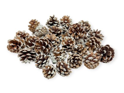 Šišky borovice horskej 190g - zabielené