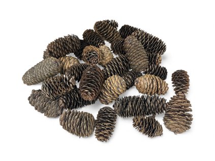 Sušené šišky Jedľa - čínska 4-7cm 250g - prírodné