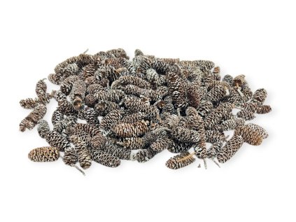 Sušené šišky Jelše 2-4cm mix 110g - zabielené