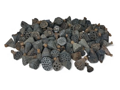 Photoroom 20251109 212440