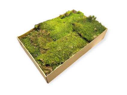 Prírodný lesný mach plátky 700g - zelený