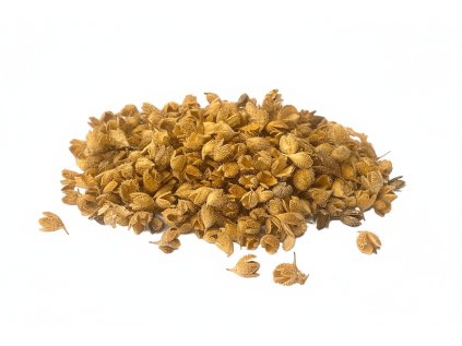 Sušené bukvice 220g krémové2