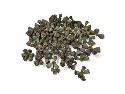 Sušené mini eukalyptové plody 210g - prírodné