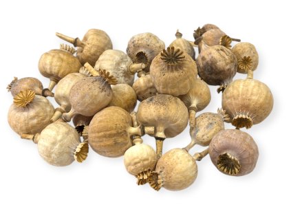 Sušené makovice hlavičky 2-4cm 100g - prírodné