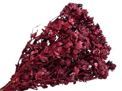 safran carthamus pozlt farbiarsky suseny bordovy