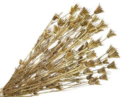 nigella orientale cernuska gold zlata