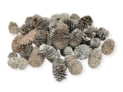 Sušené šišky Jedľa čínska 4 7cm 250g vintage biele