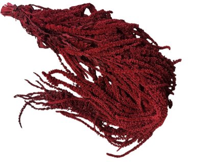 amaranthus hanged šarlát dark red tmavo červený
