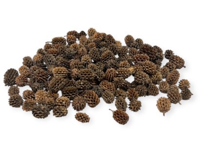 Sušené šišky Casuarina 400g prírodné