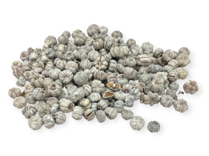 Sušené plody mini tekvička liliput 90g Putka pods vintage biele