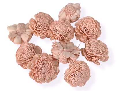 shola flower ming kvet 6cm zinnia peach