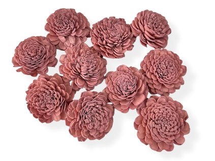 shola flower ming kvet 6cm zinnia old pink