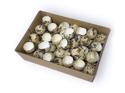 prepelicie vajicka prave skrupiny box true quail eggs shells