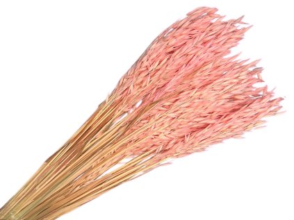 suseny ovos avena dried pastel pink pastelove ruzove