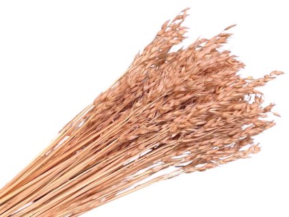 suseny ovos avena dried oat powder marhulovy peaach