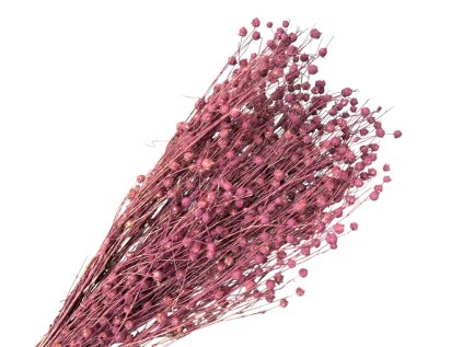 Photoroom 20260305 140414