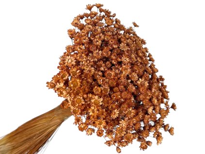 glixia 50g brown