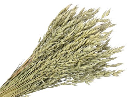 ovos avena natur
