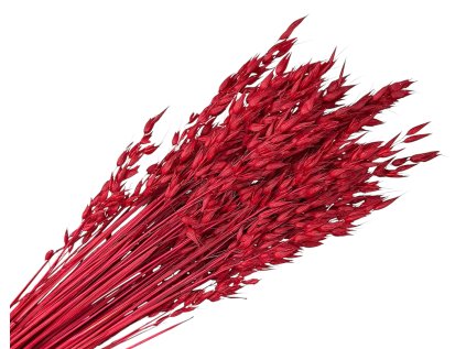 ovos avena red