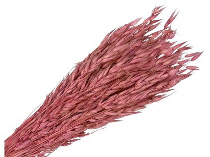 ovos avena pink