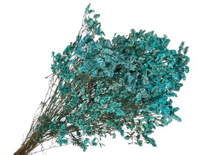 limonium statice tyrkys