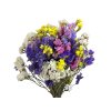 statice limonium dried susene kvety limonka mix farieb1