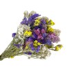 statice limonium dried susene kvety limonka mix farieb