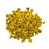 susene slamienky hlavicky straw flowers heads 100g žlté yellow